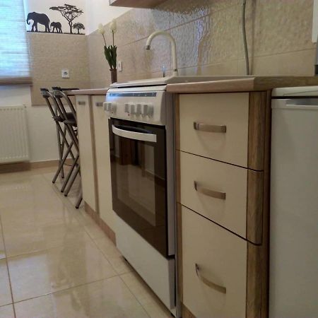 Studio Apartman Zdral Daruvar Exterior photo