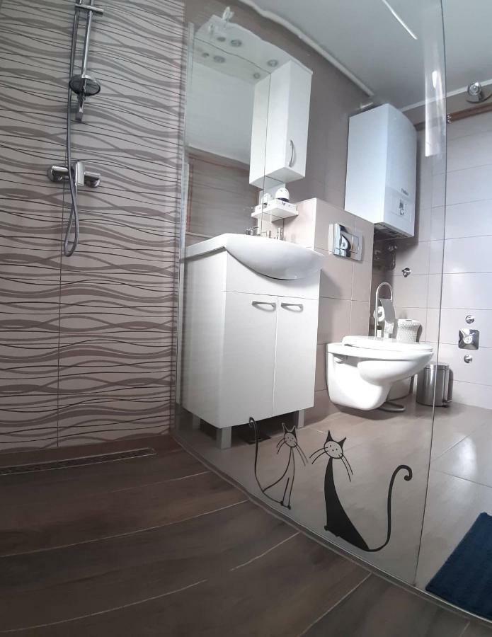 Studio Apartman Zdral Daruvar Exterior photo